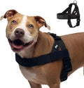 Dog Friendly Co. Dog Harness for Small Dogs (Black, Small) | One Click Buckle, Chafe Resistant Webbing, Adjustable Neck & Chest, and Heavy Duty D-Ring, Sturdy Comfortable and Easy to Use