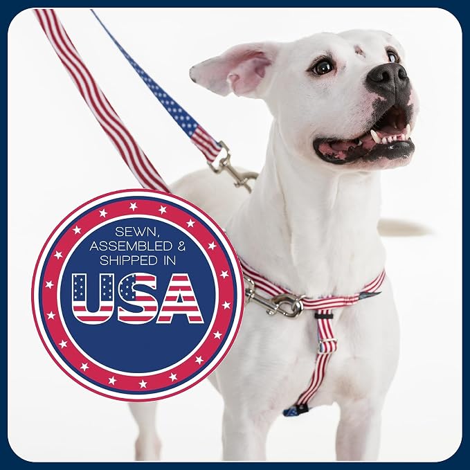 2 Hounds Design Freedom No Pull Dog Harness, 1 inch MD, Rust | Discourages Pulling, Comfortable Control Adjustable Dog Harness for Medium Sized Dogs, Made in USA (Leash Not Included)