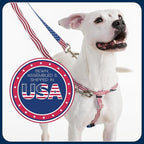2 Hounds Design Freedom No Pull Dog Harness and Leash, 5/8" MD, Raspberry | Promotes Easy Walking & Comfortable Control, Secure Fit, Adjustable Harness and Leash Set for Medium Sized Dogs, Made in USA