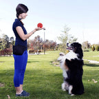 petizer 4" Squeaky Dog Balls for Aggressive Chewers, Durable Interactive Dog Chew Toys for Teething, Floatable Indestructible Rubber Spiky Ball, Tough Pet Toys for Small, Medium & Large Breeds