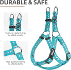 PUPTECK No Pull Dog Harness Soft Adjustable Basic Nylon Step in Puppy Vest Outdoor Walking with ID Tag, Moon Star Sky Blue, S