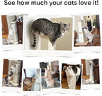 AGYM Cat Scratching Post, 32 Inch Cat Scratching Posts for Large Cats, Scratching Posts for Indoor Cats Adults, Cat Scratch Post with Nature Sisal, Black and White