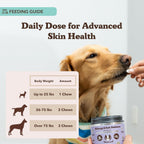 Natural Dog Company Aller Immune Chews 90 ct, Vet Strength High-Concentration Senior Dog Allergy Relief with 2.4X Colostrum, 2X Salmon Oil & 1.5X Probiotics, Supports Immune, Skin, Coat & Gut Health
