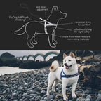 EzyDog Quick Fit Dog Harness, Soft Neoprene Padding - X-Large, Denim | Fast One-Click Buckle, Adjustable Fit, Strong Reinforced Materials, Reflective Stitching, No Pull Dog Harness, Easy Walking