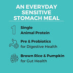KOHA Limited Ingredient Bland Diet Dry Food for Dogs - Beef & Brown Rice Recipe, Sensitive Stomach Dog Food - Pumpkin for Digestive Support, 20 lbs