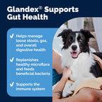Vetnique Glandex Daily Probiotics for Dogs with Prebiotics to Support Gut Health with Fiber and Digestive Enzymes, Probiotic Chews or Powders (4.25oz Powder, Pork Powder)