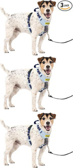 PetSafe Easy Walk Comfort No-Pull Dog Harness Full-Body Padding - Better Walks on The First Use - 5 Points of Adjustment Small/Medium, Blue (Pack of 3)