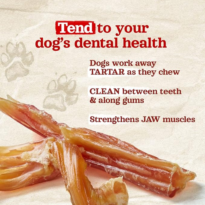 Natural Farm Extra-Thick Beef Tendons (9-12 Inch, 12 Pack), Natural Chondroitin and Collagen: Supports Healthy Joints, Great for Dental Health – Made & Packaged, All Dog Sizes
