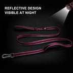 TwoEar 5FT 1IN Strong Rose Dog Leash with 2 Padded Handles, Traffic Handle Extra Control, Comfortable Soft Dual Handle, Auto Lock Hook, Reflective Walking Lead for Small Medium and Large Dogs