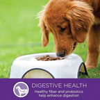 Wellness Complete Health Small Breed Dry Dog Food with Grains, Natural Ingredients, Made in USA with Real Turkey, For Dogs Up to 25 lbs. (Puppy, Turkey, Salmon & Oatmeal, 4-Pound Bag)