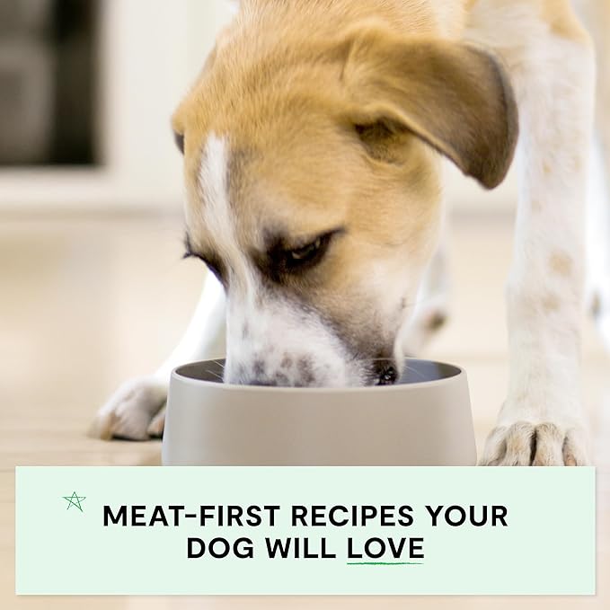 Open Farm Canned Puppy Food, Pate for Complete & Balanced Nutrition, Grain Free and Legume-Free, Chicken & Salmon Recipe for Puppies, 12.5oz Cans (Pack of 12)