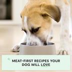 Open Farm Canned Puppy Food, Pate for Complete & Balanced Nutrition, Grain Free and Legume-Free, Chicken & Salmon Recipe for Puppies, 12.5oz Cans (Pack of 12)
