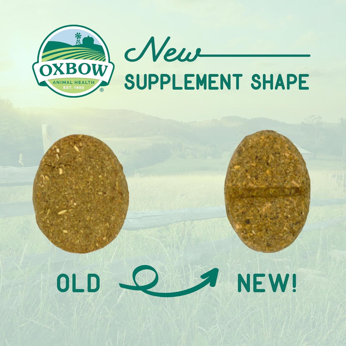 Oxbow Animal Health Natural Science Skin & Coat Support, Supplement for Rabbit & Guinea Pig, Made with Oxbow Timothy Hay, Includes Palm Oil & Omega 3 & 6 Fatty Acids, Made in USA, 4.2 oz Bag
