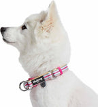Blueberry Pet Safety Dog Collar with Dual D-Rings | 3M Reflective Multi-Colored Adjustable Collar in Pink and Pastel Blue | Soft Nylon Dog Collar for Active Large Dogs