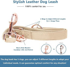 Soft Leather Dog Collar and Leash (6.6') Set - Stylish Rose Gold Heavy Duty Metal Buckle, 4 Adjustable Lengths Leash for Small Medium Large Dogs - Comfortable & Easy to Clean Beige XS(8"-12")