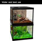 Mini Reptile Glass Terrarium Tank 8 * 8 * 6" Full View, Amphibians Box Habitat Enclosure Cage for Frog,Spiders,Dubia Cockroach,Praying Mantis,Cricket,Tarantula,Hermit Crab