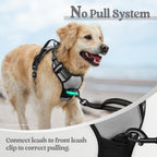 rabbitgoo Dog Harness No Pull with 2 Leash Clips, Adjustable Soft Padded, Reflective Oxford No Choke Pet Vest with Easy Control Handle for Small Dogs, Grey, S