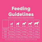 Pupford Good Dog Food, Freeze-Dried Raw, High-Protein, Superfood Ingredients, Vet-Approved, No Fillers or Artificial Additives (Lamb & Salmon Recipe, 16 oz)