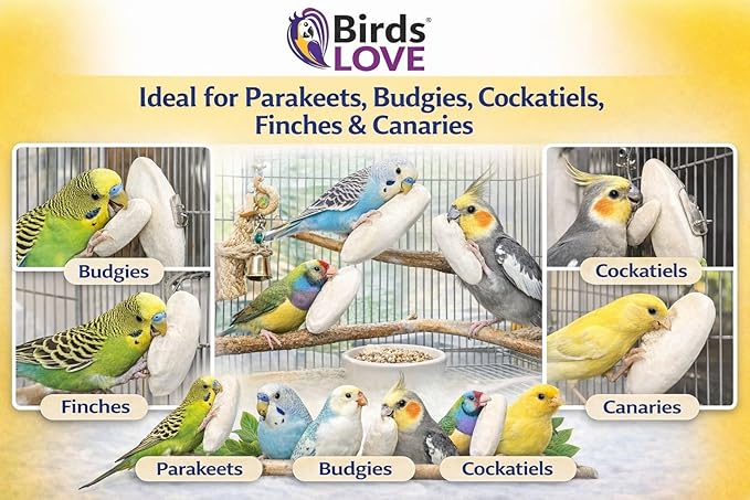 Birds LOVE 3.5-4″ Cuttlebone for Birds – 100% Natural Sun-Dried Calcium & Beak Conditioning Supplement for Parakeets, Budgies, Cockatiels, Finches & Canaries – 4 Pack with Holder – Made in Vietnam
