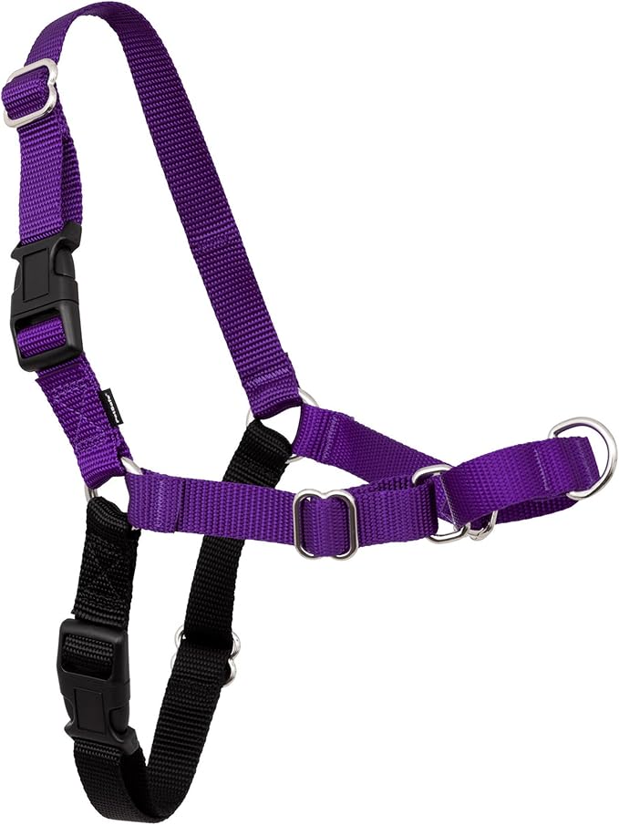 PetSafe Easy Walk Harness, No Pull Dog Harness, Deep Purple, Small/Medium | Patented Martingale Loop Gives Gradual Shoulder Pressure to Stop Pulling, Front-Chest Leash Clip Prevents Gagging