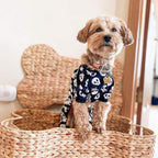 CuteBone Dog Halloween Pajamas Puppy Onesies Small Dogs Soft Pjs Coat Cat Apparel Comfy Pet Christmas Clothes Outfit Doggie Bodysuit P11XL
