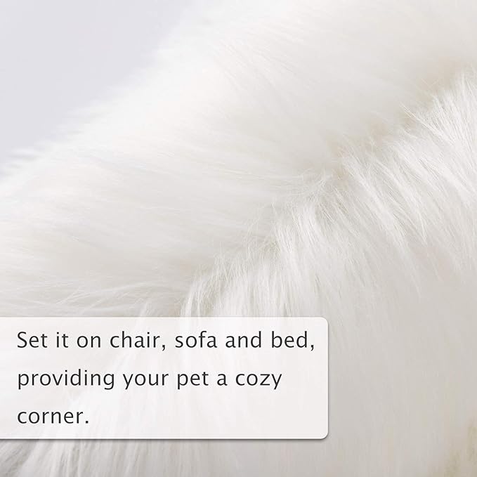 Asrug Soft Faux Fur Pet Mat Plush and Fluffy Dog Rug Ultra Cozy Pet Throw Rug for Dogs Cats, Luxury Soft Faux Sheepskin Chair Cover Seat Pad Shag Fur Dog Rugs Bed for Bedroom, White, 3ftx5ft