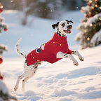 BRKURLEG Christmas Dog Sweaters for Cold Weather, Warm Turtleneck Sweaters for Small Dogs, Xmas New Year Pullover Knitted Sweatshirt for Cats, Dachshund, Poodle, Shih Tzu (Red, S)