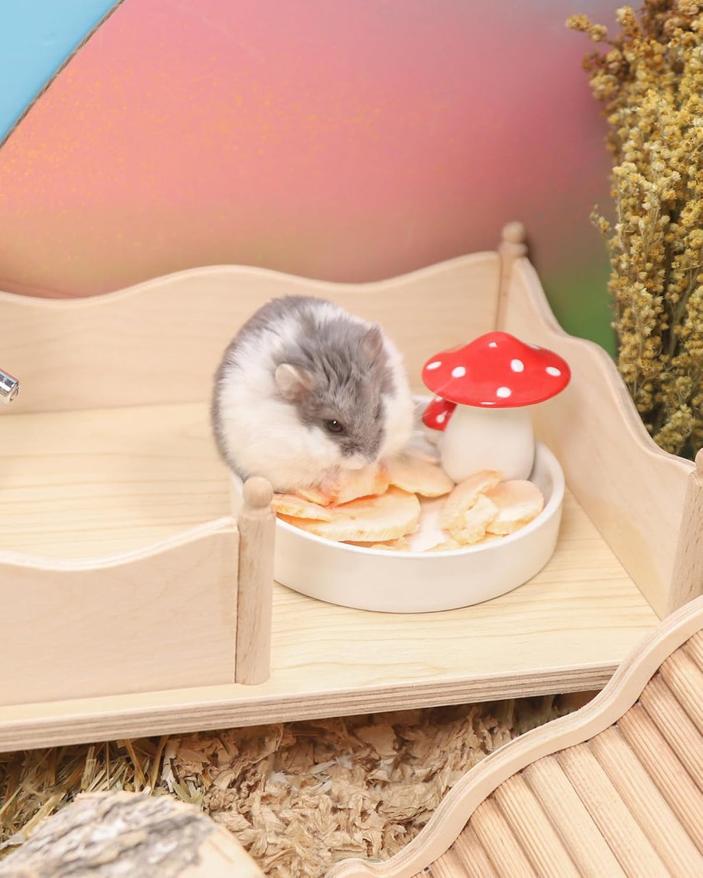 Niteangel Hamster Snack & Treats Toy - Small Animal Natural Treat for Dwarf Syrian Robo Hamsters Gerbils Mice Lemmings Degus or Other Small-Sized Pets