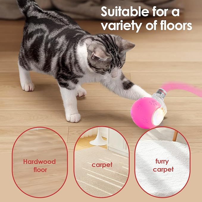 Interactive Cat Toys for Indoor Cats with Birds Chirping and RGB Light - Motion Activated Ball for Bored Adult Cats