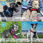 Gooby Escape Free Easy Fit Dog Harness, Step-in, Purple, Large | Patented escape-free frame; Contracts if they back out; Step-in easy on/off; Machine washable; Light POM leash ring