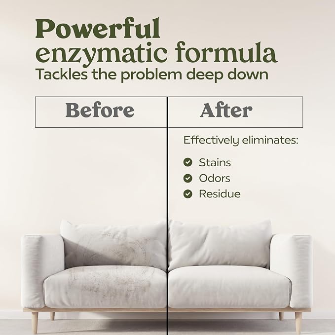PAWFUME Stain & Pet Urine Odor Eliminator, 1-Pack | Enzymatic quick-dry formula with eco-friendly ingredients for upholstery, fabrics and Carpet Cleaner Spray use