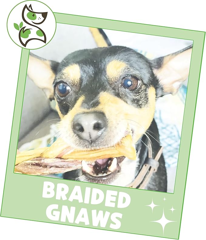 Nature Gnaws Braided Gnaws for Dogs 5-6" (12 Count) - Long Lasting for Small and Medium Dogs - Natural Beef Bully Stick Combo Braids - Rawhide Free