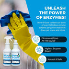 KINZUA ENVIRONMENTAL Urine B-Gone, Professional Enzyme Odor Eliminator & Pet Stain Remover, Human, Cat & Dog Urine Cleaner, Effective on Laundry, Carpets & More, Original Scent, 32oz, Pack of Two