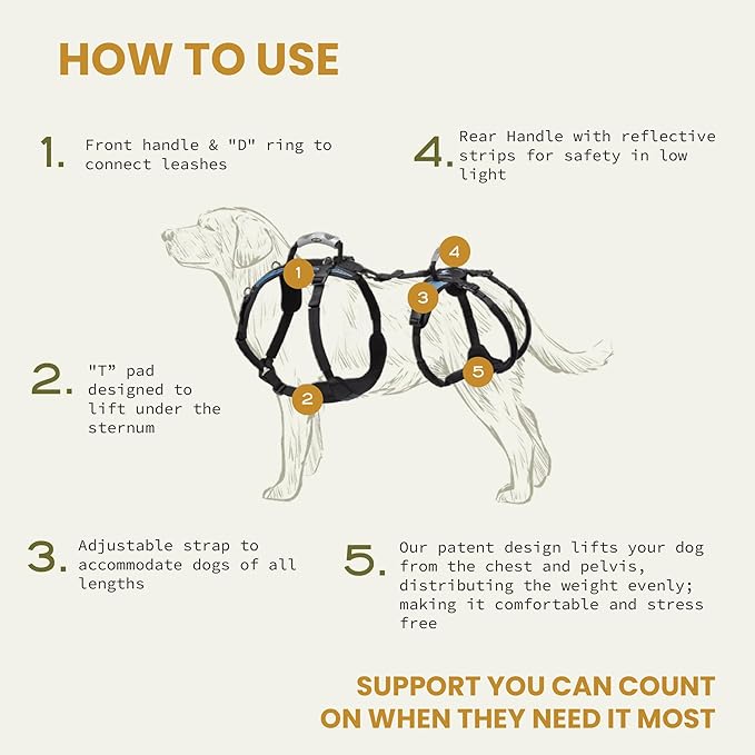 Help 'Em Up® - Dog Lift Harness│ Adjustable Lifting Harness for Dogs │ Full Body Support, Rear Leg Support (Conventional, Medium, 45-80 lbs)