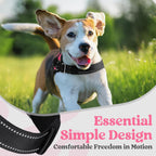 rabbitgoo Dog Harness for Small, Easy On Pet Vest with One Buckle, No Pull Adjustable Service Harness with D-Ring & Handle, Reflective for Safety Walking, Training, Pink, S
