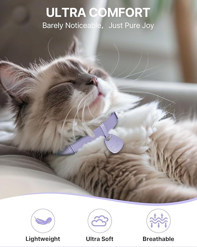 Cat Collar with QR Code Name Tag, Breakaway Kitten Collar for Boy & Girl Cats, Ultra Soft Elastic Adjustable Band, Safety Break Away Buckle, Comfortable & Secure Pet ID Collar (6"-12"), Purple
