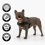 Dog Friendly Co. Dog Harness for Large Dogs (Red, Extra Large) | One Click Buckle, Chafe Resistant Webbing, Adjustable Neck & Chest, and Heavy Duty D-Ring, Sturdy Comfortable and Easy to Use
