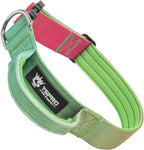 TSPRO Premium Dog Collars Tactical Dog Collar with Handle and Heavy Duty Quick-Release Metal Buckle Durable Thick and Adjustable for Medium to Large Dogs (Vitality Gradient L)
