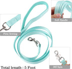 YIMEIS Dog Harness and Leash Set, No Pull Soft Mesh Pet Harness, Reflective Adjustable Puppy Vest for Small Medium Large Dogs, Cats (Tiffany Blue, Medium (Pack of 1)