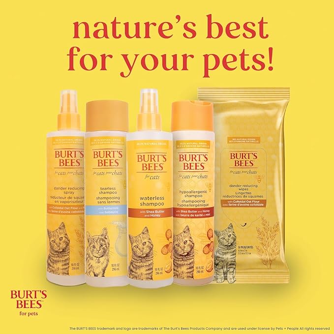 Burt's Bees for Pets Cat Dander Remover Wipes, Unscented Soft Grooming Cloths with Colloidal Oat Flour + Aloe, Helps Reduce Flaking Between Baths for Cats & Kittens, 50 Count