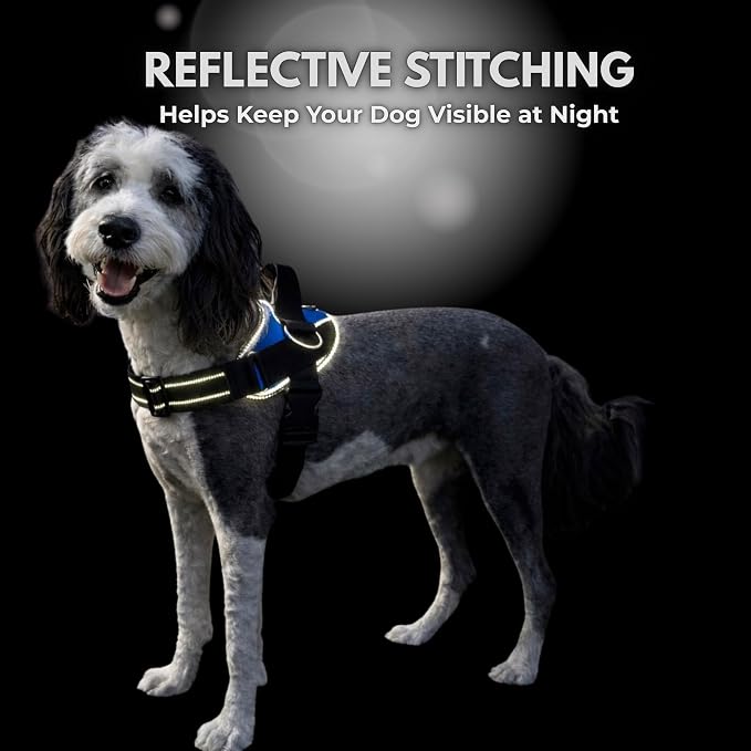 ShawnCo Essential Dog Harness, No-Pull Pet Vest (Sunset Orange,M) | 3 Leash Clips, Easy On, No-Choke, Reflective, Adjustable Fit, Padded Comfort, Control Handle, For Small, Medium & Large Dogs