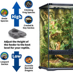 Pangea Silicone Gecko Feeding Ledge - Magnetic Mini Food Dish for Reptile Tank - 4.125" x 2.625" x 1.18" - Fits 0.5oz Cups (Gray)