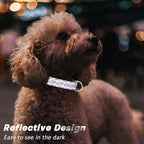 Reflective Dog Collar for Extra Small Dogs, Cute Flower Theme Adjustable Heavy-Duty Nylon Puppy Collar for Boy and Girl Female, Soft Pet Accessories with Quick Release Buckle, Purple White