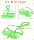 KAMA BRIDAL Duck Walking Harness and Leash Chicken Duck Outdoor Training Rope Adjustable Rope for Pet Poultry Hen Cock (XS, Green)