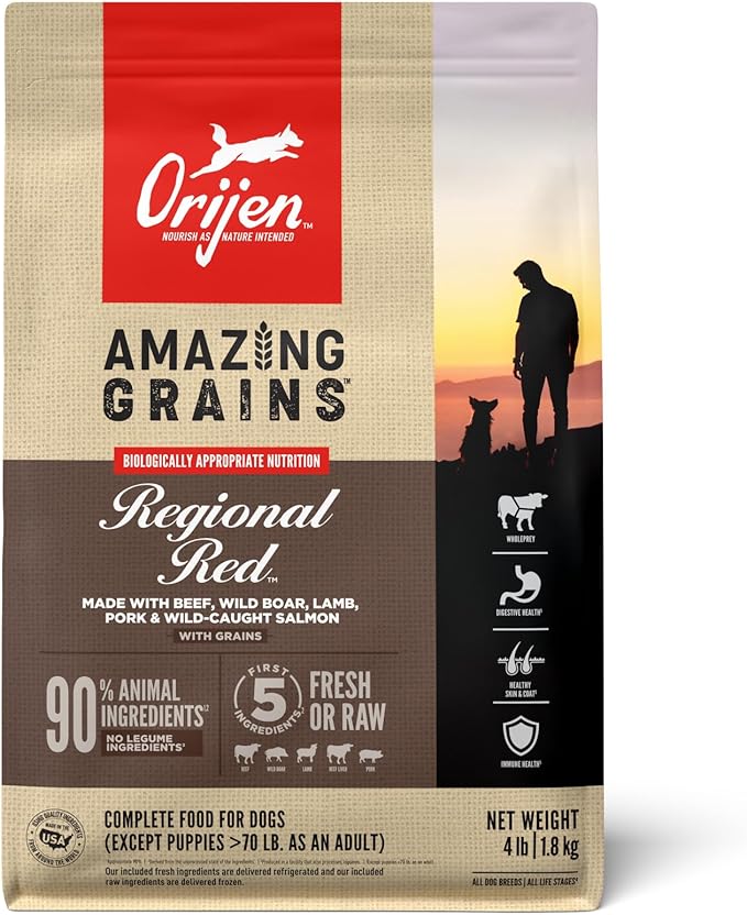 ORIJEN Amazing Grains High Protein Dry Dog Food Regional Red Recipe 4lb Bag