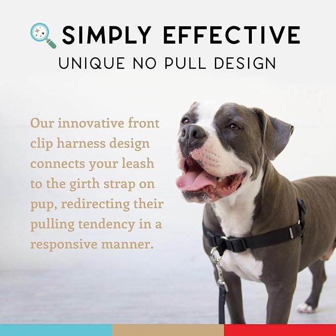 No Pull Dog Harness | Comfortable Dog Training Harnesses | Effective No Pull Harness Design | Ideal Dog Harness for Medium Sized Dog | 4-Point Adjustable (M - 22~28 inch Girth, Black)