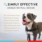 No Pull Dog Harness | Comfortable Dog Training Harnesses | Effective No Pull Harness Design | Ideal Dog Harness for Medium Sized Dog | 4-Point Adjustable (M - 22~28 inch Girth, Black)