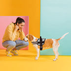 Dogline Dog Harness, Reflective No-Pull Adjustable Vest with Handle for Walking, Training, Breathable, No - Choke Harness for Small, Medium or Large Dogs Room for Patches Girth 27 to 34 in Urban Camo