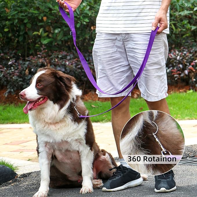 AMAGOOD 6 FT Puppy/ Dog Leash, Strong and Durable Traditional Style Leash with Easy to Use Collar Hook, Great for Small, Medium and Large Dogs (1 in x 6 ft(Pack of 1), Purple)