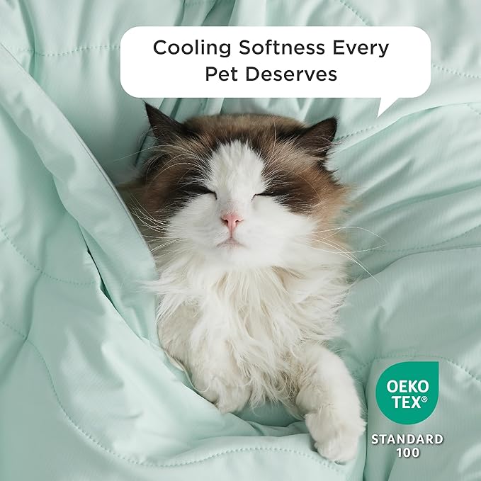 Bedsure Premium Cooling Blanket for Medium Dog - Q-MAX>0.5, Breathable Summer Washable Cold Pet Throw Blanket, Soft Durable Self Cooling Cat Mat for Hot Weather, Turquoise Green, 30x40